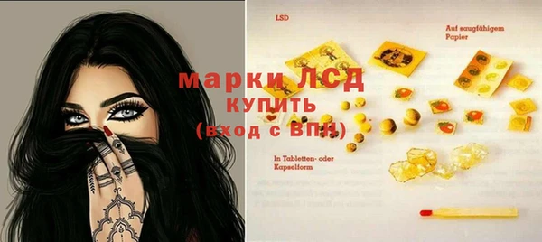 гидра Белокуриха