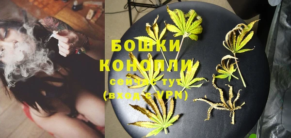 гидра Белокуриха