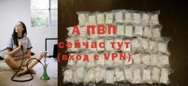 гидра Белокуриха