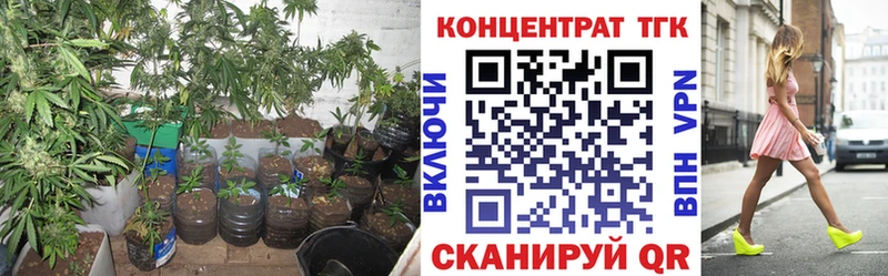 ТГК Wax  omg tor  Кудымкар  как найти  